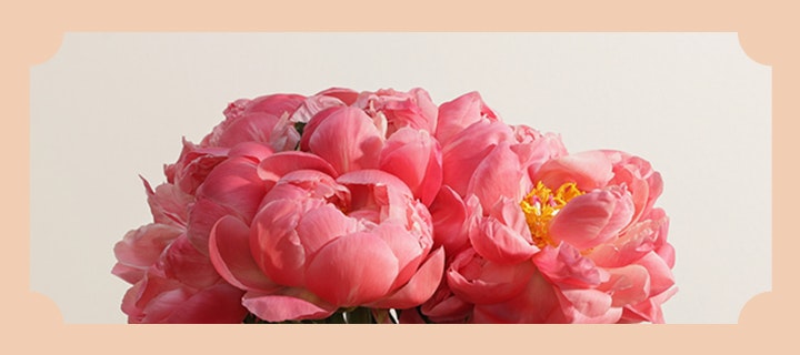 Impress With Exotic Peony Blooms