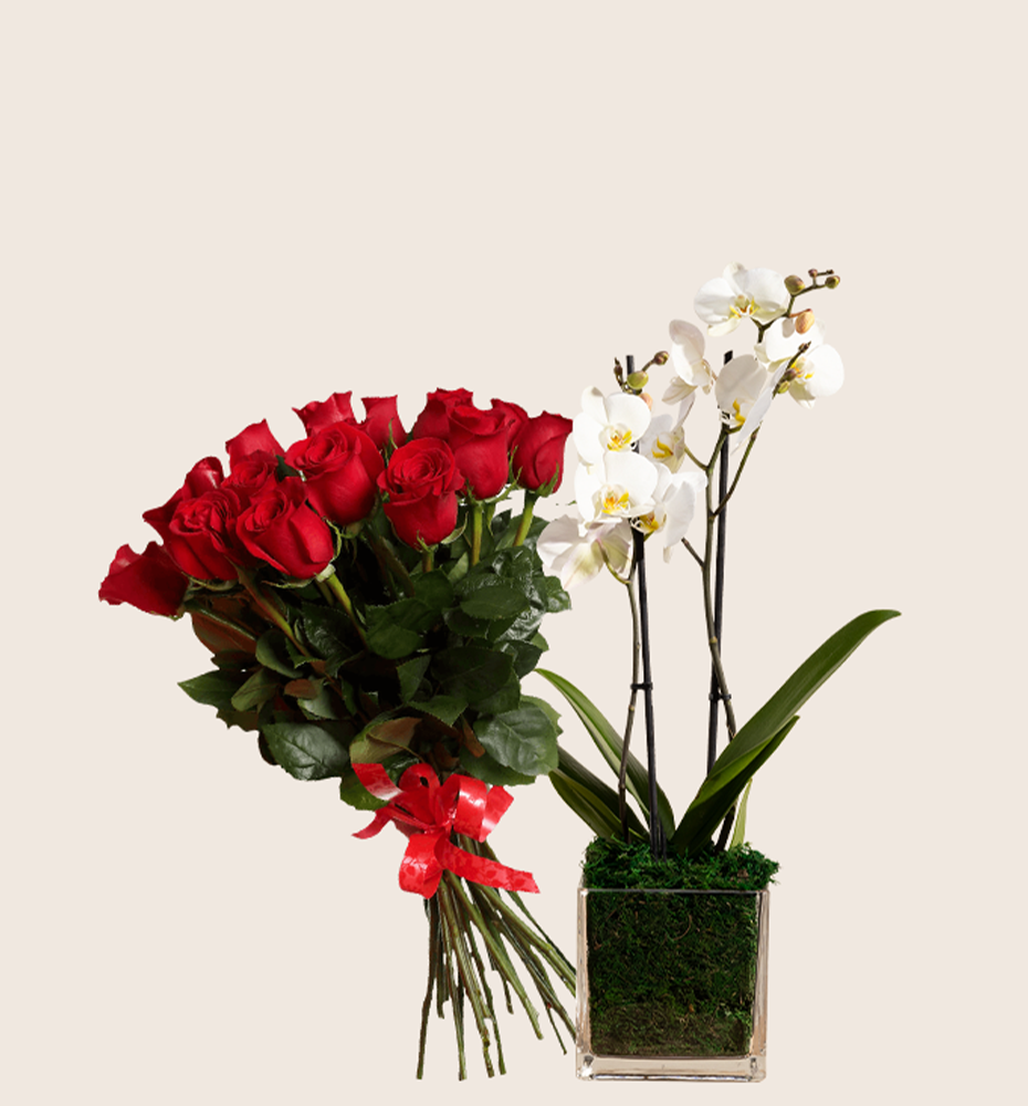 Online Flowers & Gifts Delivery in Qatar Floward SameDay Flowers