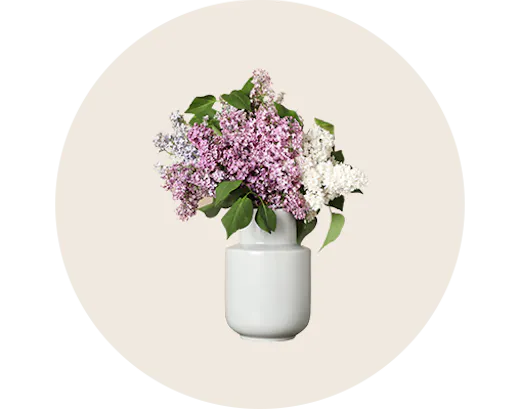 Flowers in Vases