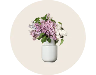 Flowers in Vases