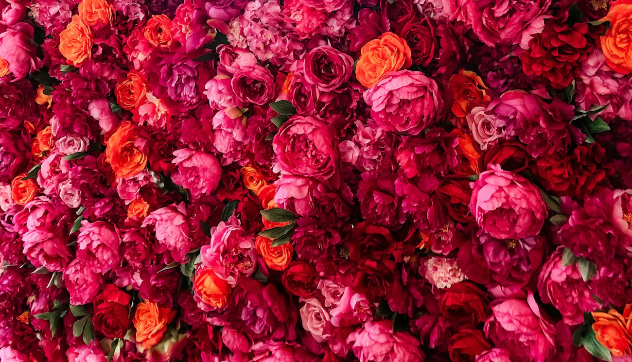 Step into spring