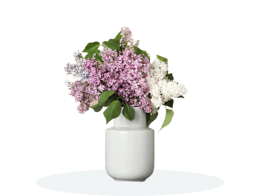 Flowers in Vases