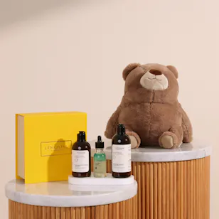 L'Occitane Volume and Strength Hair Care Trio | Floward Small Cuddly Brown Plush Bear Toy