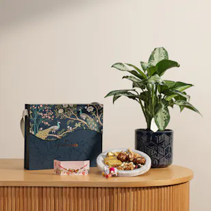 MyGovindas Rakhi Mixed Sweets Hamper | Gorgeous Plant