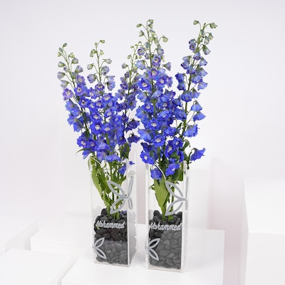Delphinium Cloud | Personalized Vases