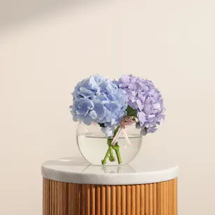 Elegant Hydrangea Vase 