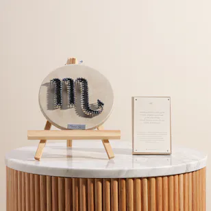 Maisam Qassem The Scorpio Art Piece Maisam Qassem The Scorpio Art Piece