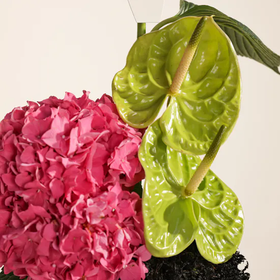 Elegant Hydrangea Vase