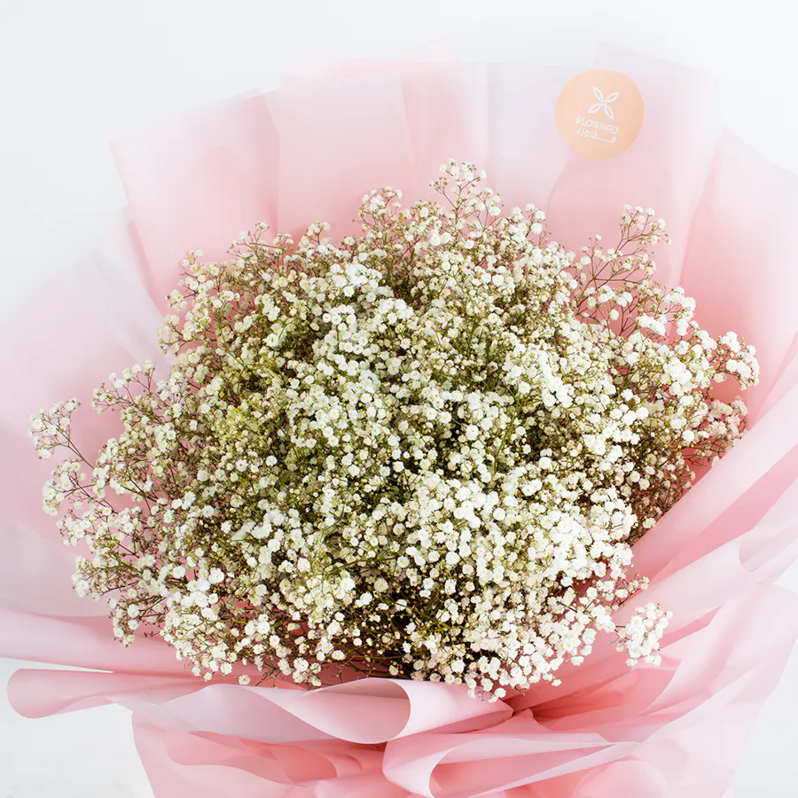 [USED IN AUTOMATION] Gypso Lover | Pink Wrap 4