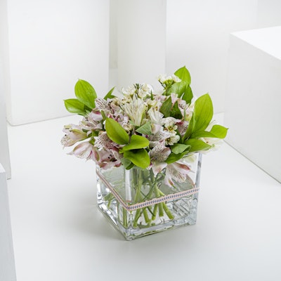 Colorful Alstroemeria | Square Vase