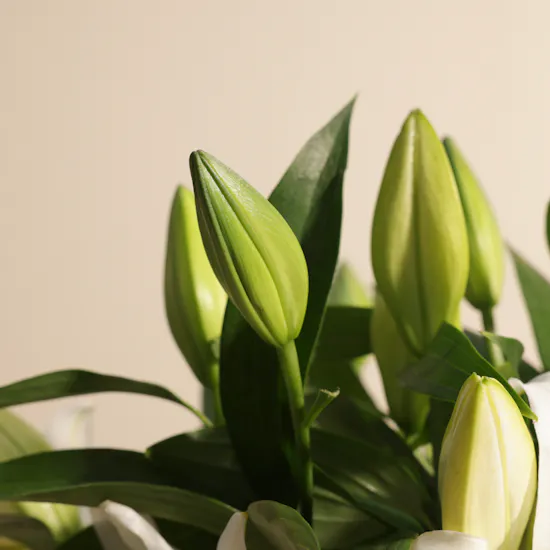 White Lily Shine Flowers Vase | 8 Flowers