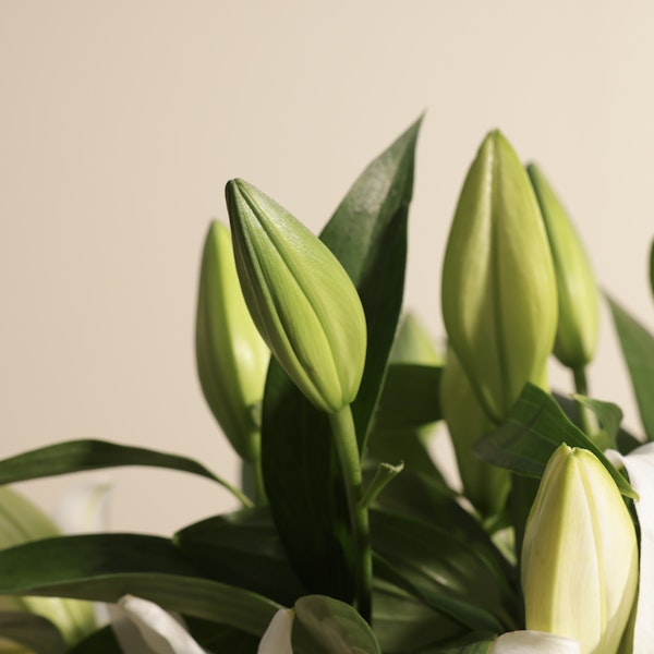 White Lily Shine Flowers Vase | 8 Flowers