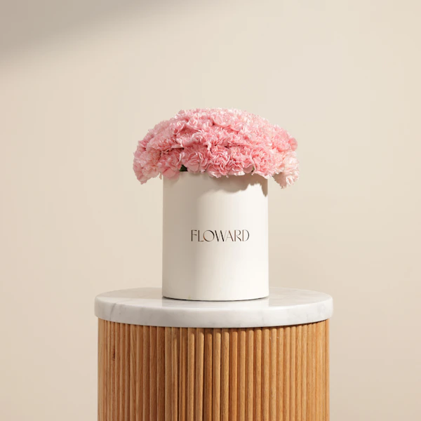 Lush Pink Carnation Box | 35 Flowers