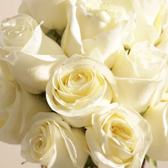 Golden Glow White Rose Vase