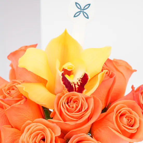 Bright Spring | Birthday Blooms