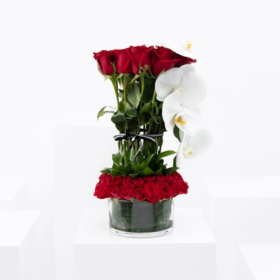Zinnia | Roses & Orchids