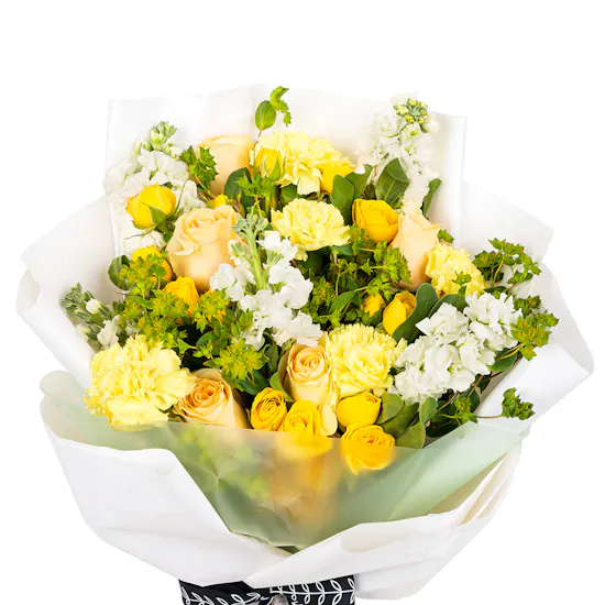 Law | Yellow Blooms