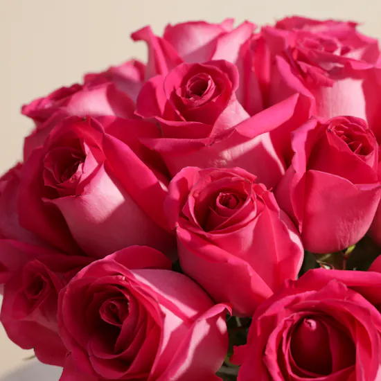 Fuchsia Splendor Vase | 25 Roses