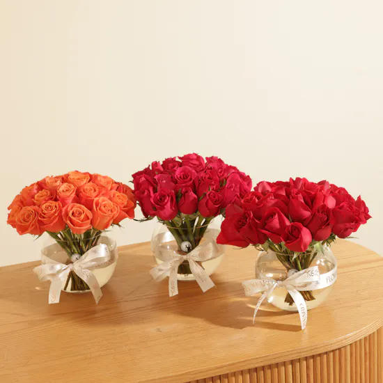Trio Colors of Joy Flower Vase