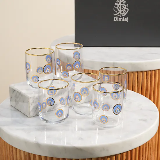 Dimlaj Charm Glass Tumbler Glass Cups Set