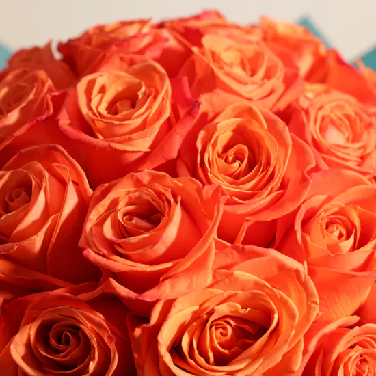 Elegant Orange Roses Bouquet | 50 Roses