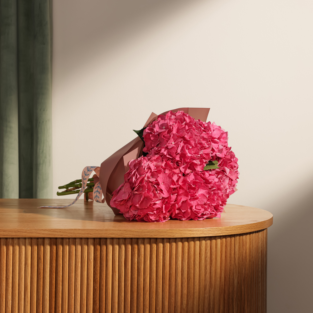 باقة هيدرانجيا فوشيا مبهجة