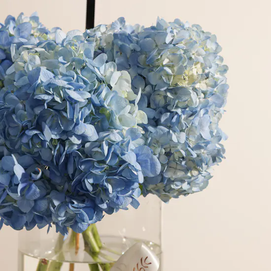 Mubkhar Tuscan Grove Fragrance Set | Birthday Balloon and Blue Hydrangeas