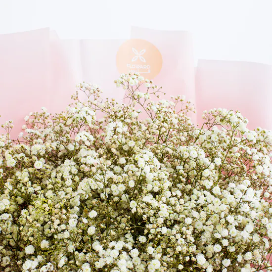 Gypso Lover | Pink Wrap