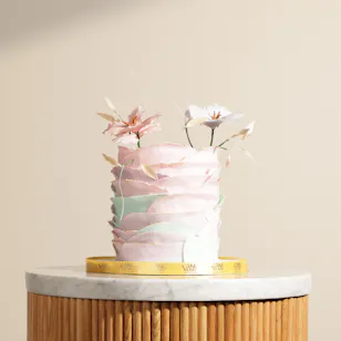 Cake Boutique Creative Cake 