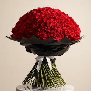 Showstopper | 250 Rose Showstopper | 250 Rose