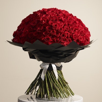 Showstopper | 250 Rose Showstopper | 250 Rose