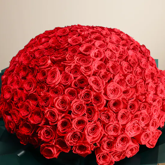 Love Red Flowers Bouquet | 250 Flowers