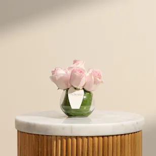 The Light Pink Rose Vase