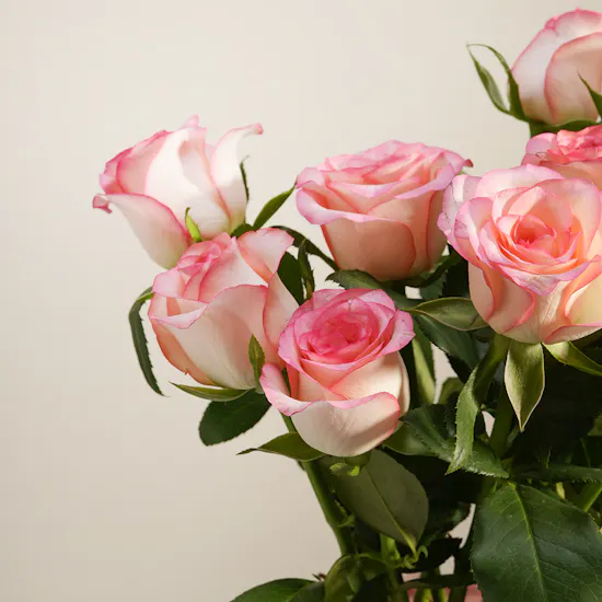 Strawberry Blush Flower Vase