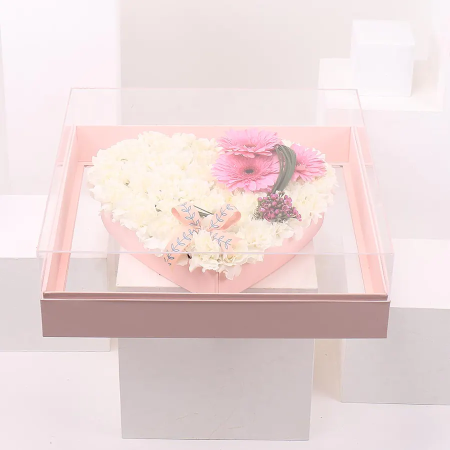 Heart of Gerbera  5