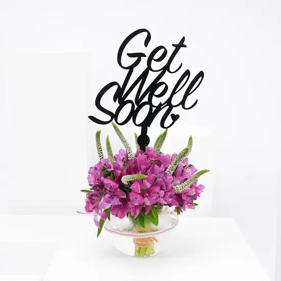 Get well soon | Purple Alstromeria