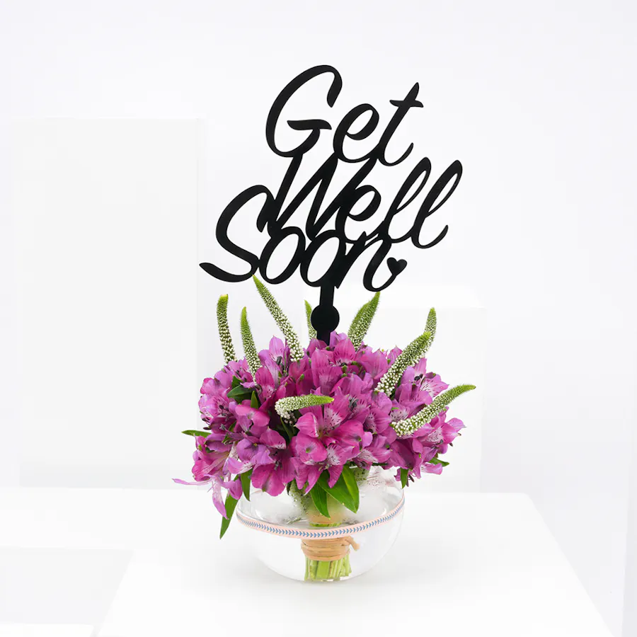 Get well soon | Purple Alstromeria  2