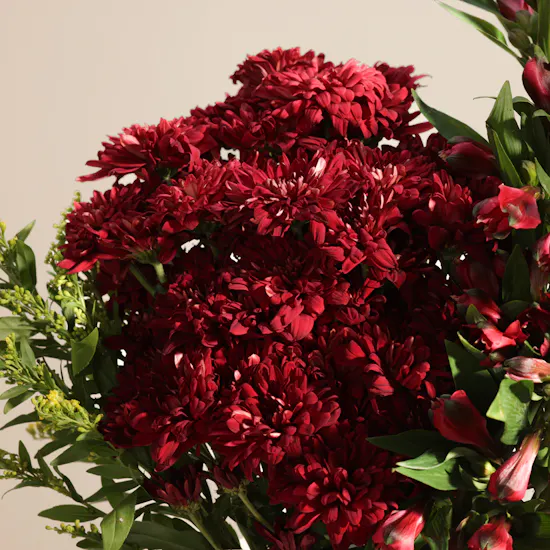 Scarlet Charm Flower Vase