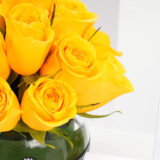 Miss L Pisces Necklace | Yellow Roses