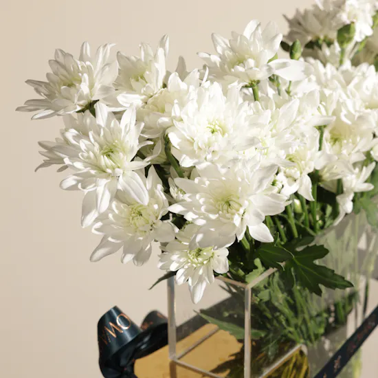 Enchanting Calm Flower Vase
