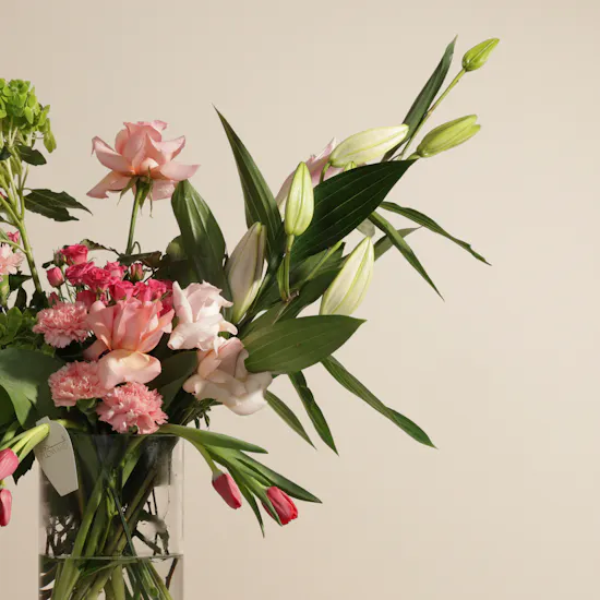 Blushing Bloom Vase By September Studio