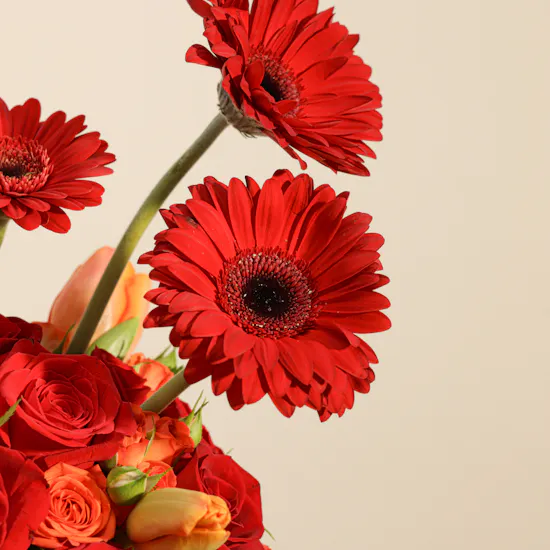 Founding Day Delight Blooms Vase