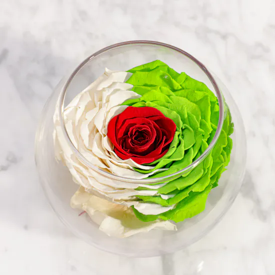 Magical Preserved Rose Vase
