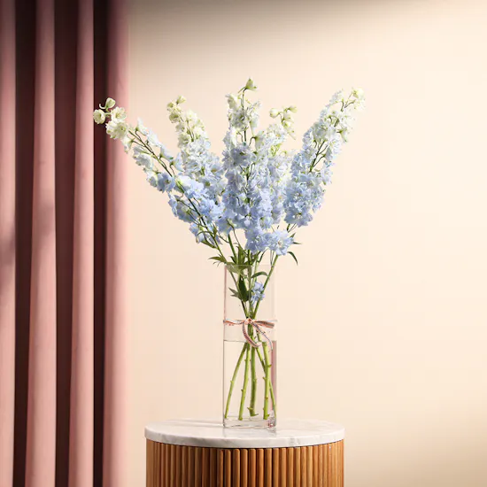 Blue Dreams Delphinium Vase