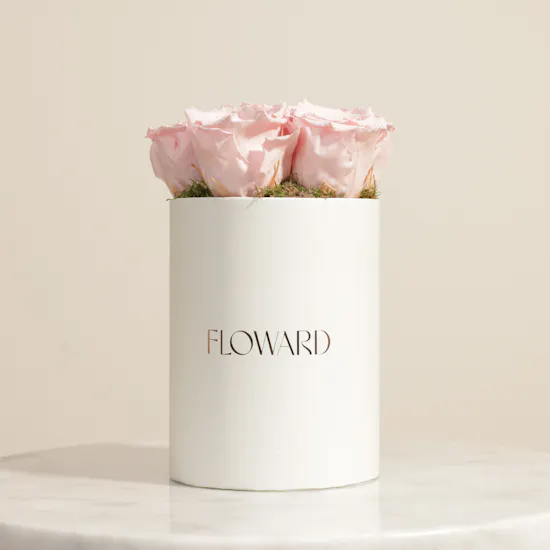 Elegant Pink Preserved Roses Box