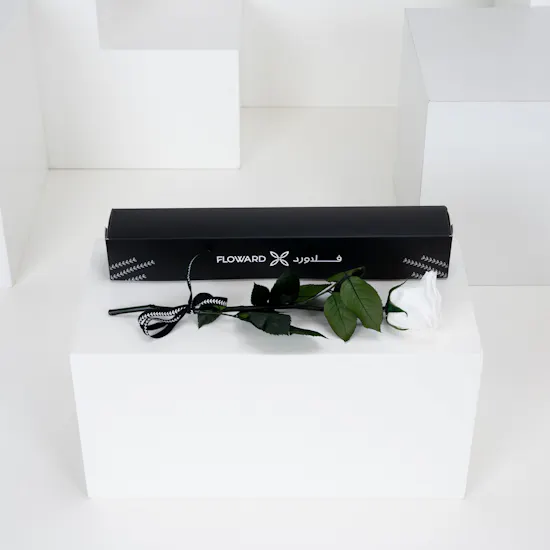 Preserved White Rose | Box
