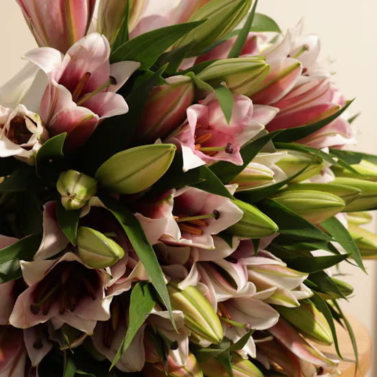 Soft Pink Lilies Bouquet | 25 Flowers