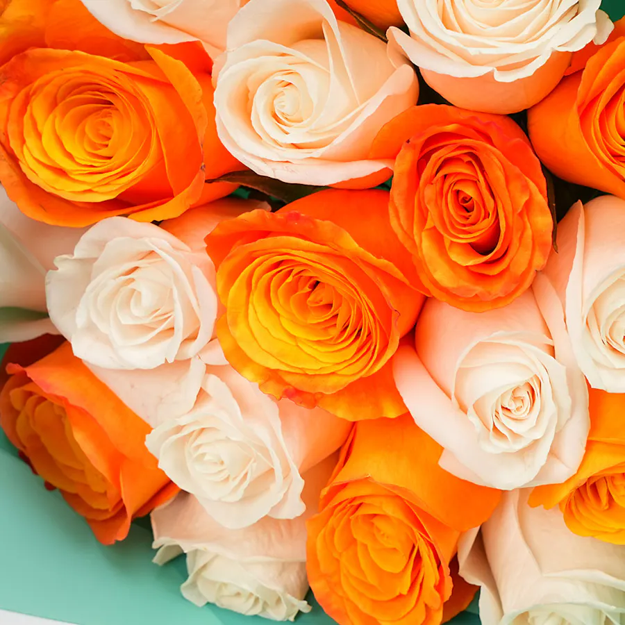 Yasania Perfume & Sunset Rose 3