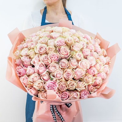 100 Amazing Pink Roses 