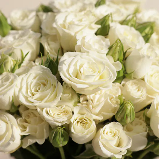 Pure Baby Rose Vase | 35 Flowers